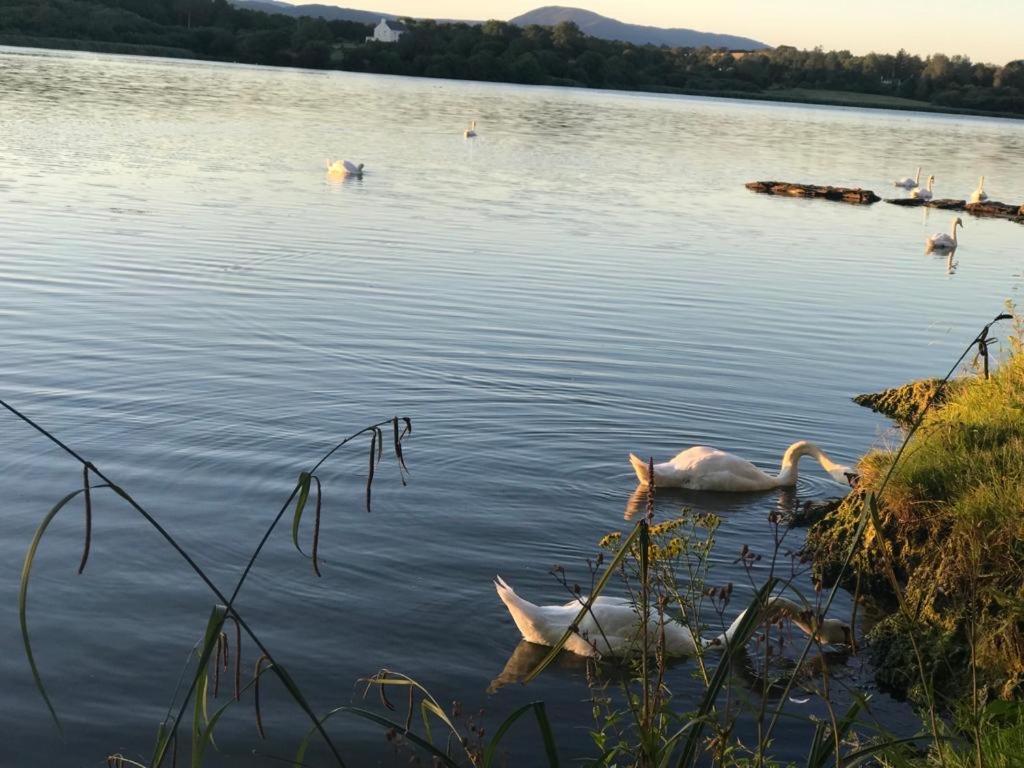 Lakeside Lookout Bantry Cork Eksteriør bilde